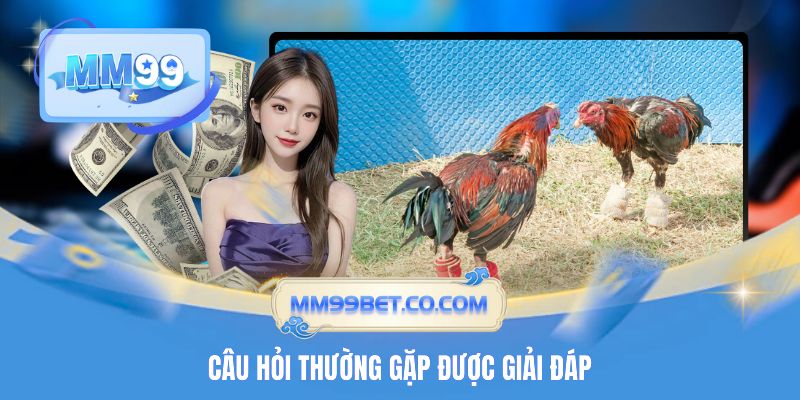 Câu hỏi thường gặp được giải đáp