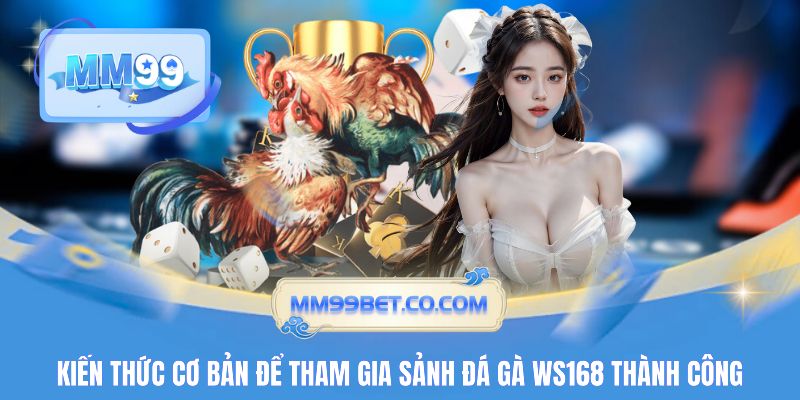 Tất tần tật về các hình thức thi đấu tại sảnh đá gà WS168