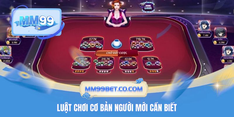Luật chơi cơ bản người mới cần biết