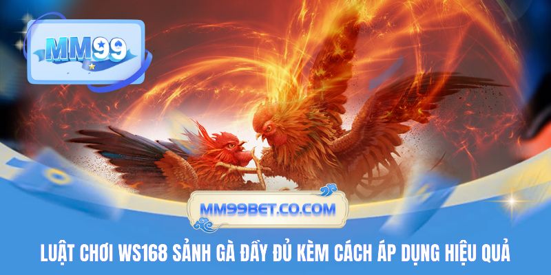 Luật chơi WS168 sảnh gà đầy đủ kèm cách áp dụng hiệu quả