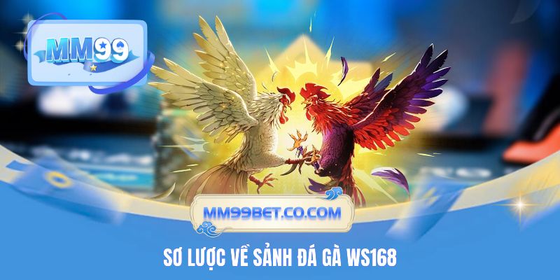 Sơ lược về sảnh đá gà WS168