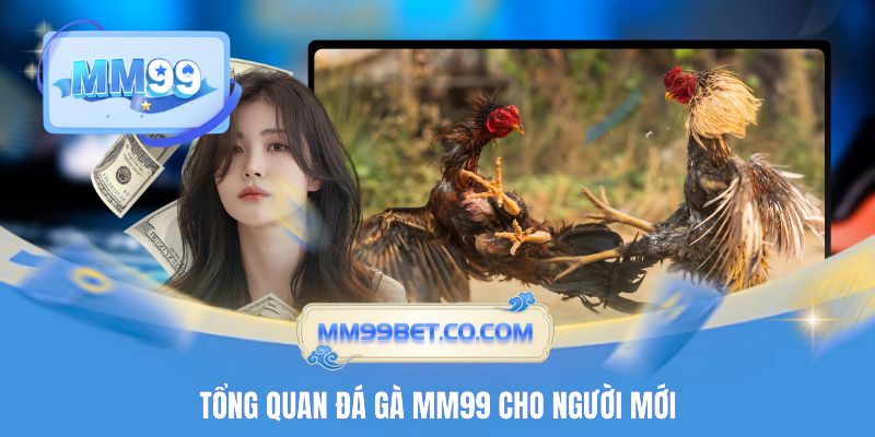 Tổng quan đá gà MM99 cho người mới